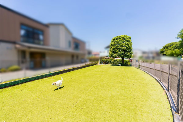 ドッグラン