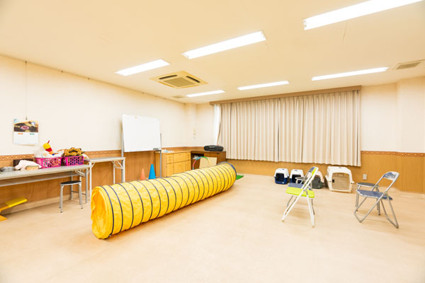 しつけ教室