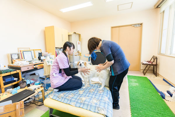 リハビリ室
