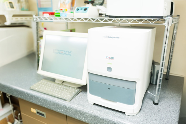 生化学①