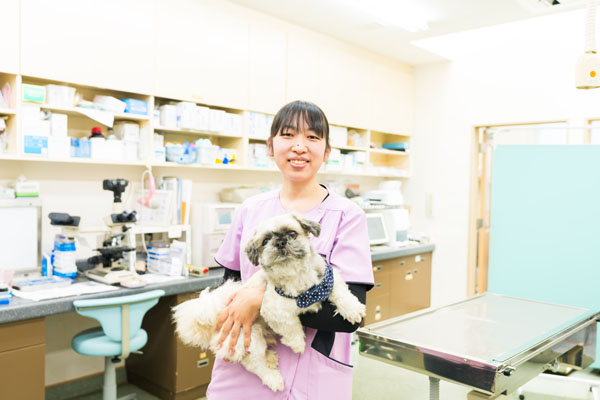 動物看護師